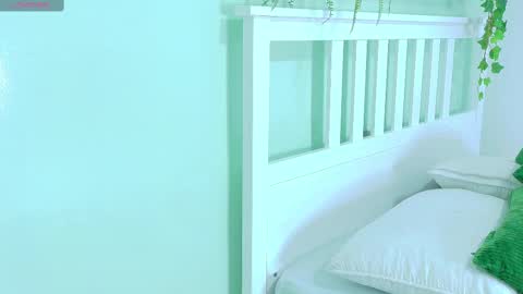 BELA online show from November 12, 2025, 11:43 am