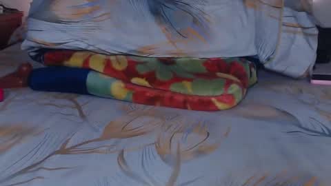 Snapshot of bella_xx9 chatting on February 3, 2025, 2:14 am bella_xx9 online show from February 3, 2025, 2:14 am