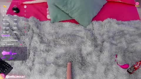 Snapshot of bellaa_becca chatting on December 19, 2024, 9:17 pm Bella Becca online show from December 19, 2024, 9:17 pm