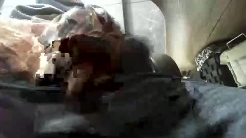 beninoam75 online show from January 9, 2026, 7:33 am