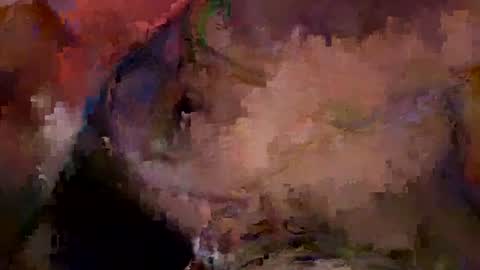 bentito2 online show from July 1, 2026, 7:46 pm
