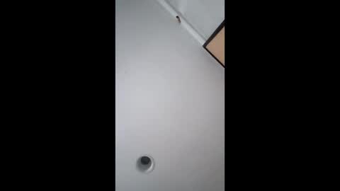 bgiamba21 online show from February 17, 2026, 5:48 am