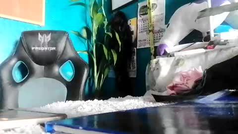 bheb_ji online show from February 15, 2026, 6:10 am