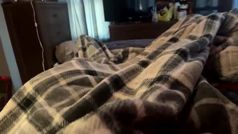 bi_guy_1993 online show from February 25, 2025, 8:51 pm