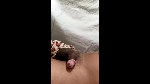 Snapshot of biel369737 chatting on March 2, 2026, 4:36 am biel369737 online show from March 2, 2026, 4:36 am