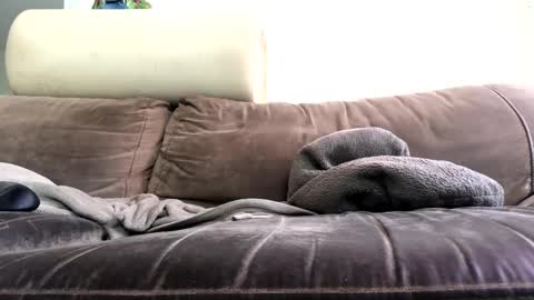 bigboadick online show from October 31, 2025, 2:18 pm