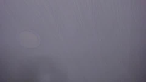   online show from April 7, 2026, 10:05 am