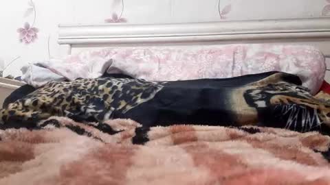 Snapshot of bigcock977654 chatting on February 23, 2025, 1:13 am bigcock977654 online show from February 23, 2025, 1:13 am