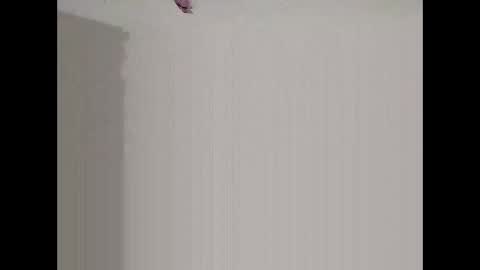 bigd23994 online show from March 29, 2026, 7:52 am