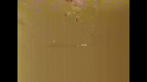 bigdaddydongarlets391292 online show from October 17, 2025, 8:06 am