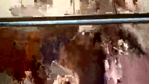 bigdick31589 online show from May 4, 2026, 9:27 am