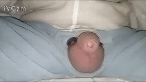 Big online show from January 30, 2025, 2:49 am