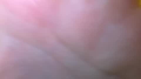 bigdickitalian137 online show from September 29, 2025, 8:35 pm