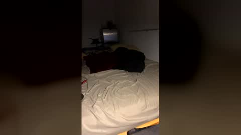 bigdickpapishampoo online show from December 19, 2025, 10:00 am