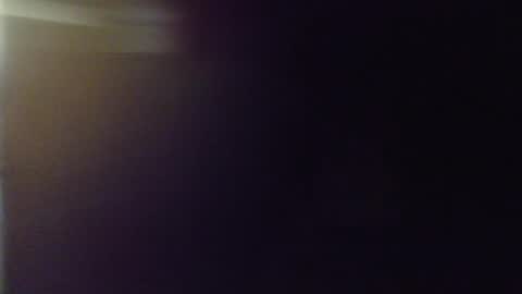 Snapshot of bigdoglog chatting on January 2, 2025, 4:52 am BigDog online show from January 2, 2025, 4:52 am