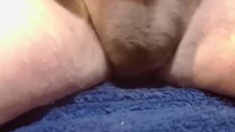 Snapshot of bigdoglog chatting on February 10, 2025, 2:26 pm BigDog online show from February 10, 2025, 2:26 pm