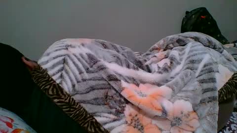 bighandsomesatisfy online show from January 6, 2025, 8:18 pm