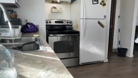 Daniel  Noelia online show from November 27, 2025, 8:55 pm