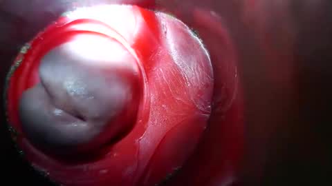 bigmoneycorey online show from March 10, 2026, 3:50 pm