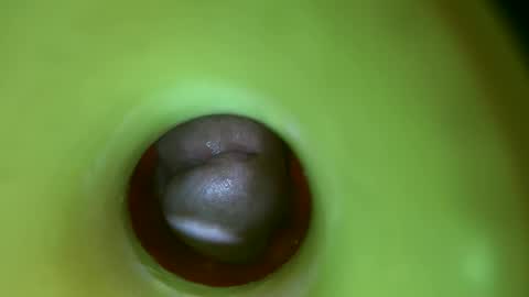 bigmoneycorey online show from March 21, 2026, 4:17 am