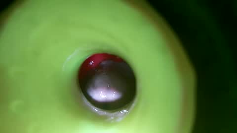 bigmoneycorey online show from April 1, 2026, 7:11 pm