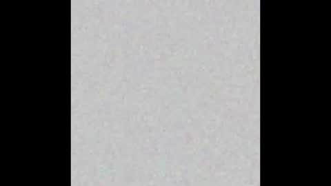 bignat9960 online show from November 11, 2025, 2:55 am