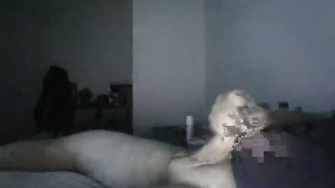 BigO online show from December 19, 2024, 8:23 am