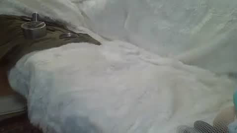 ...... online show from December 14, 2024, 5:29 am