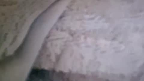 bigsssnake69 online show from July 9, 2026, 10:47 pm