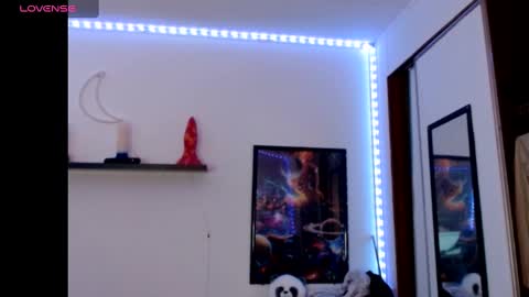 Nichole lights online show from February 28, 2025, 11:23 pm