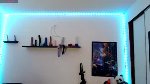 Nichole lights online show from August 8, 2026, 9:17 pm