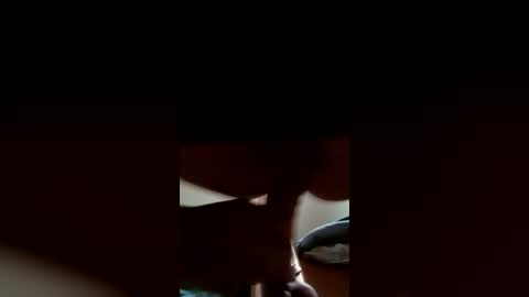 DeePee online show from June 28, 2026, 10:49 pm