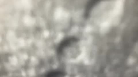 biguywithtoys online show from December 22, 2024, 6:37 pm