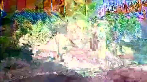 Snapshot of bigwytecock1979 chatting on December 9, 2024, 1:24 pm bigwytecock1979 online show from December 9, 2024, 1:24 pm