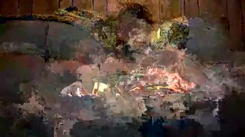 Snapshot of bigwytecock1979 chatting on December 11, 2024, 7:31 am bigwytecock1979 online show from December 11, 2024, 7:31 am