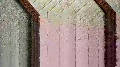 Snapshot of bigwytecock1979 chatting on December 24, 2024, 4:30 pm bigwytecock1979 online show from December 24, 2024, 4:30 pm