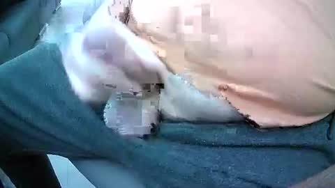 bikeman17 online show from October 4, 2025, 8:45 am