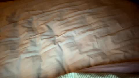 Snapshot of bipatron12 chatting on February 11, 2025, 8:10 pm bipatron12 online show from February 11, 2025, 8:10 pm