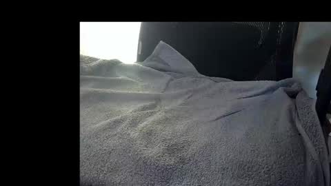 Snapshot of bislider chatting on November 12, 2025, 9:10 am bislider online show from November 12, 2025, 9:10 am