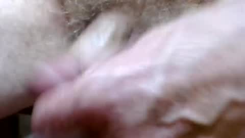 bitexan69 online show from September 20, 2025, 9:21 am