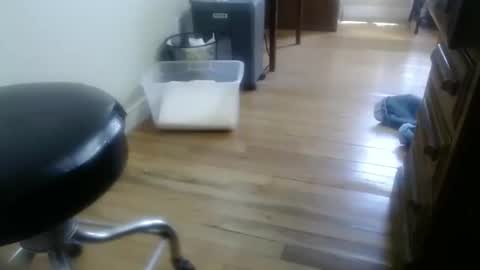 bitexan69 online show from September 30, 2025, 5:07 pm