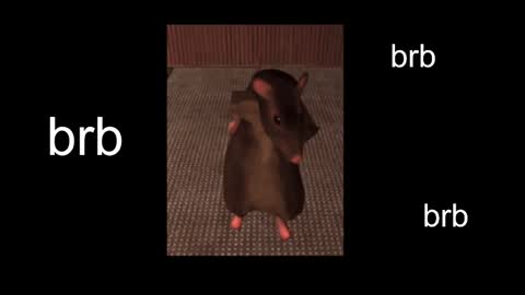  Black Kittie    Wednesday - 1300 - 1900 GMT help me get 100 thumbs up online show from February 13, 2025, 11:06 am