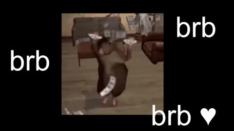  Black Kittie    Wednesday - 1300 - 1900 GMT help me get 100 thumbs up online show from October 26, 2025, 1:17 pm