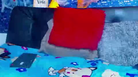 duglas online show from November 5, 2025, 5:13 pm