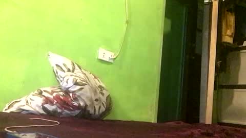 Crystal online show from April 18, 2026, 7:58 pm