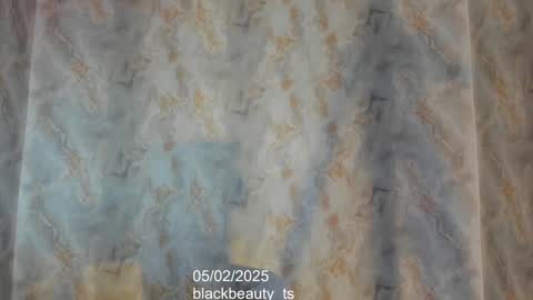 Snapshot of blackbeauty_ts chatting on February 5, 2025, 2:59 pm Nina online show from February 5, 2025, 2:59 pm