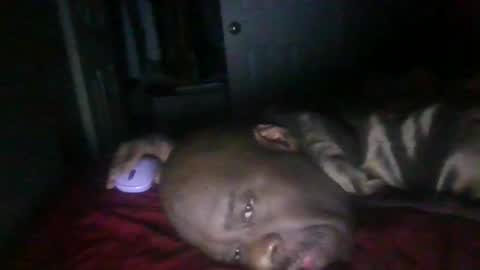 blackteddybear online show from February 21, 2026, 11:33 am