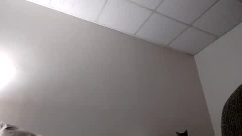 blahblam420 online show from February 5, 2025, 7:50 am