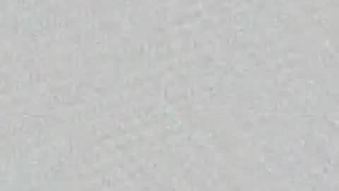 Zool online show from May 6, 2026, 8:30 am
