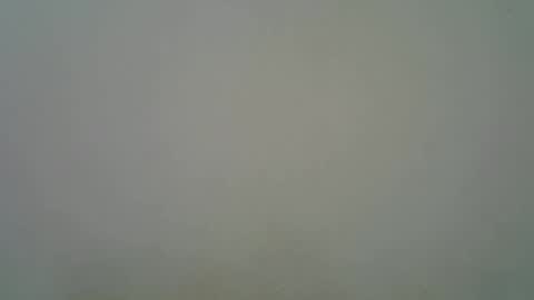 Black  brown online show from November 11, 2025, 5:29 am